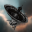 RSS Radio Telescope