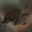 Serpentis Debris